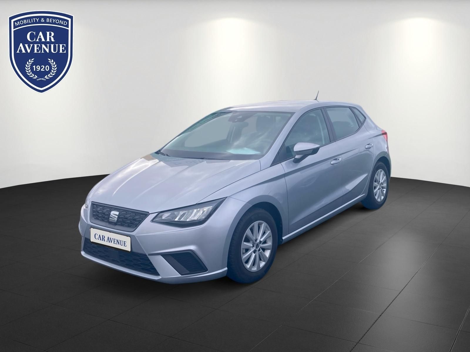 Seat Ibiza Silber d'occasion