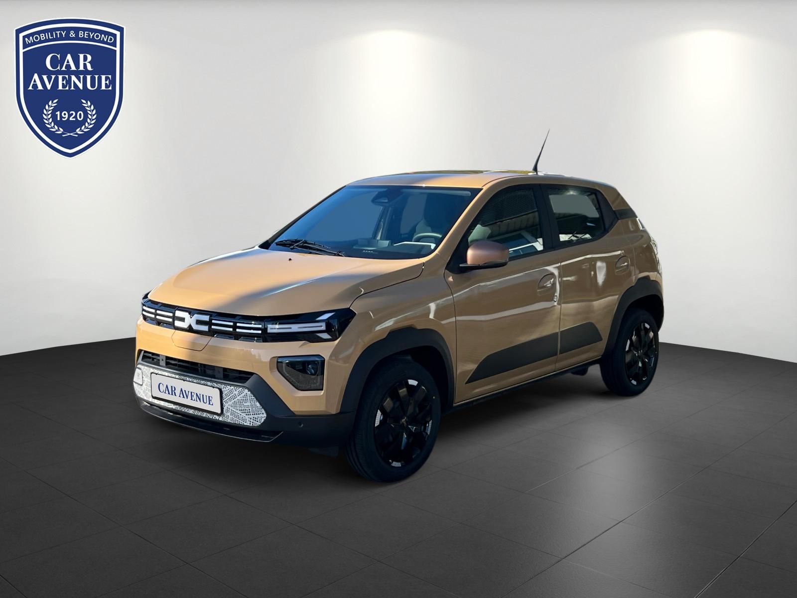 Dacia Spring Beige d'occasion