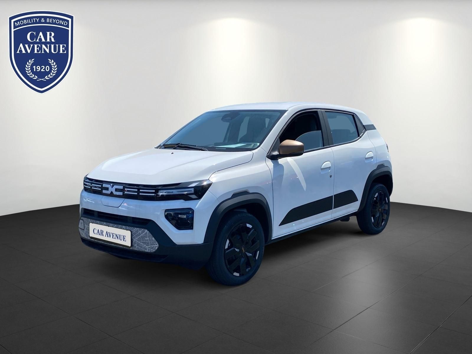 Dacia Spring Grau d'occasion